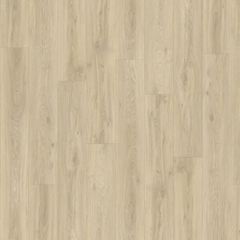 Roots Blackjack Oak 22215 – Moduleo Roots