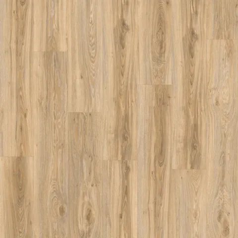 Roots Blackjack Oak 22220 – Moduleo Roots