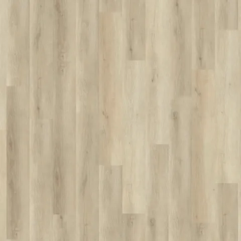 Champagne Oak E4559 – Karndean Ecoline 55 Klik