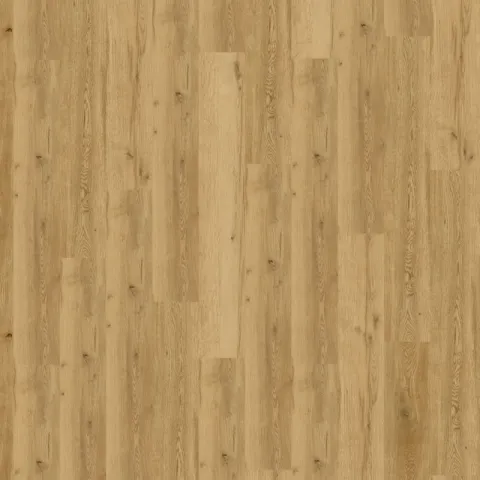 Earthy Oak, gold E1384 – Karndean Ecoline 30