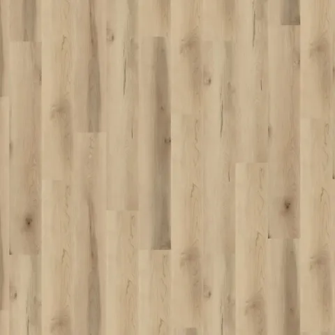 Frappe Maple E2373
