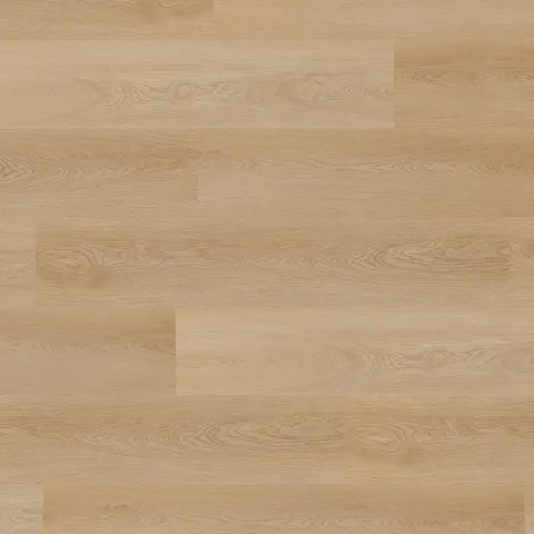 Hartford Oak CHE 41822 – Afirmax Ribja Kost