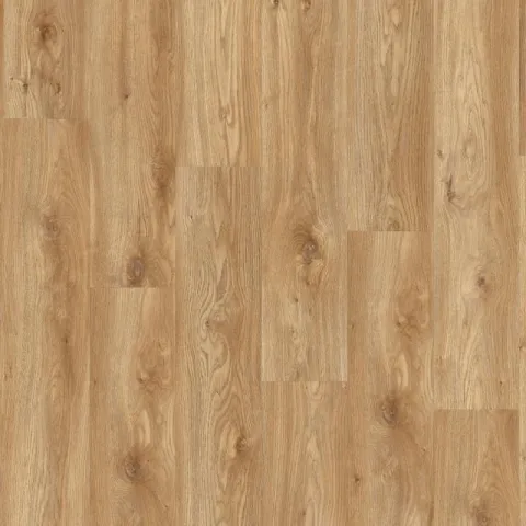 Intoo Sierra Oak 58346 – Moduleo Intoo