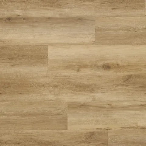 Tuscon Oak CHE 41592 – Afirmax Ribja Kost